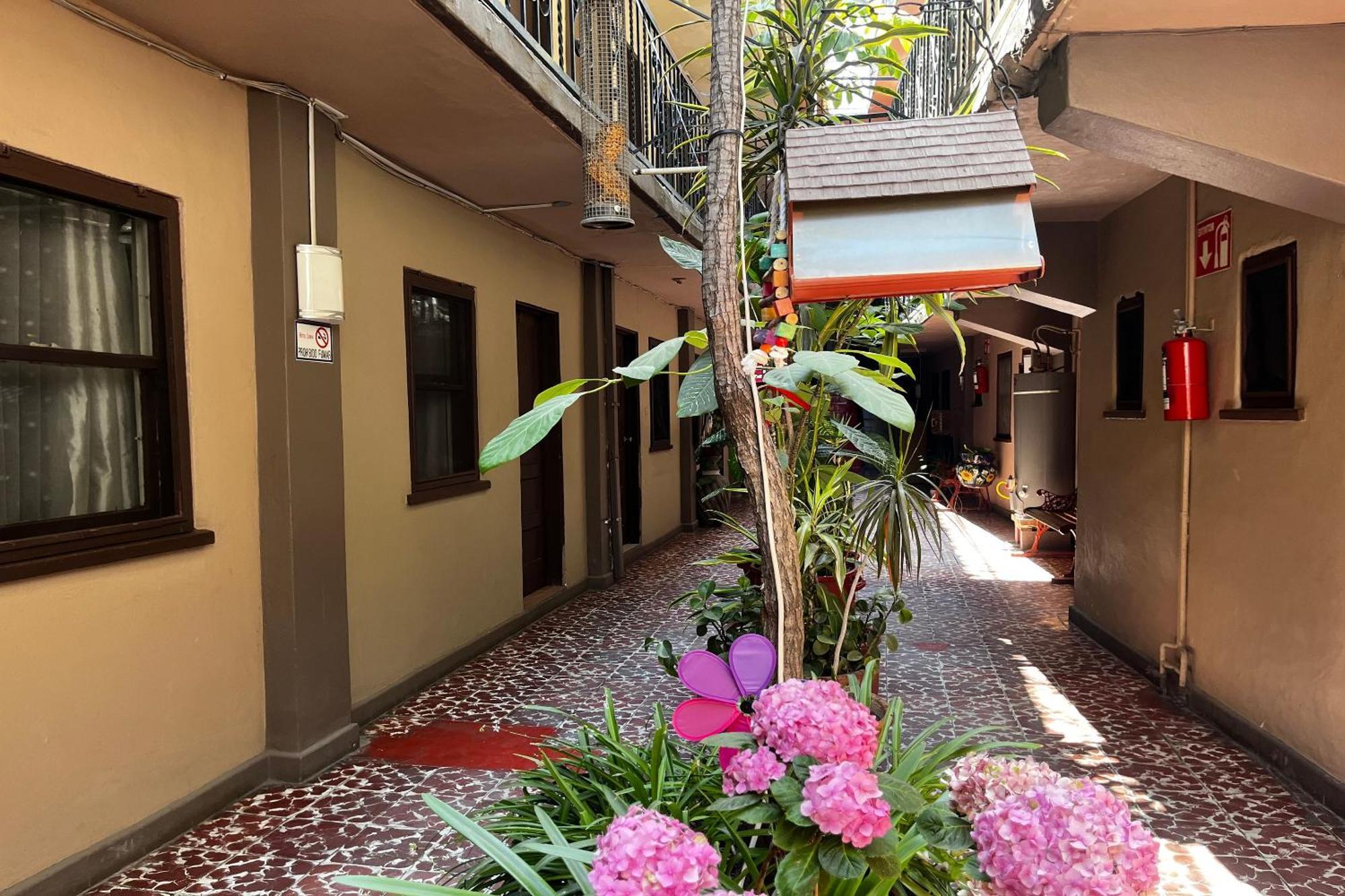 Oyo Hotel Linda Tijuana Exteriér fotografie
